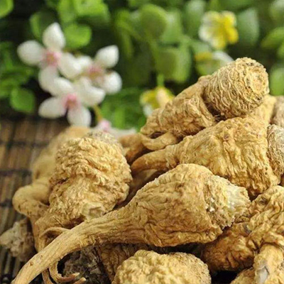 Maca Extract