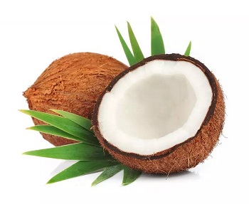 coconut protein powder suppliers -Realclearbio.jpg