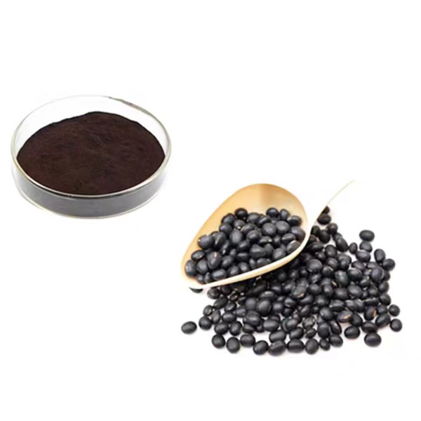 Black Bean Sauce Powder for Sale RealclearBio