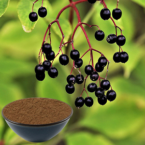 Elderberry Extract