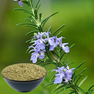 Does rosemary extract have antibacterial antiviral properties?