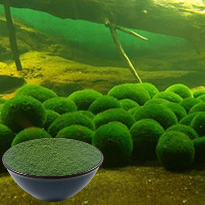 Chlorella Powder