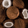 Coconut Powder